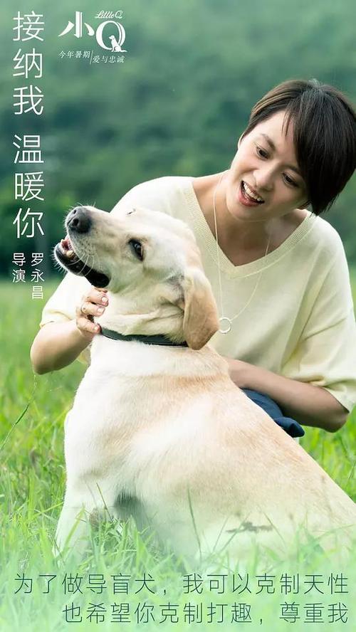 中京学院 Media diploma